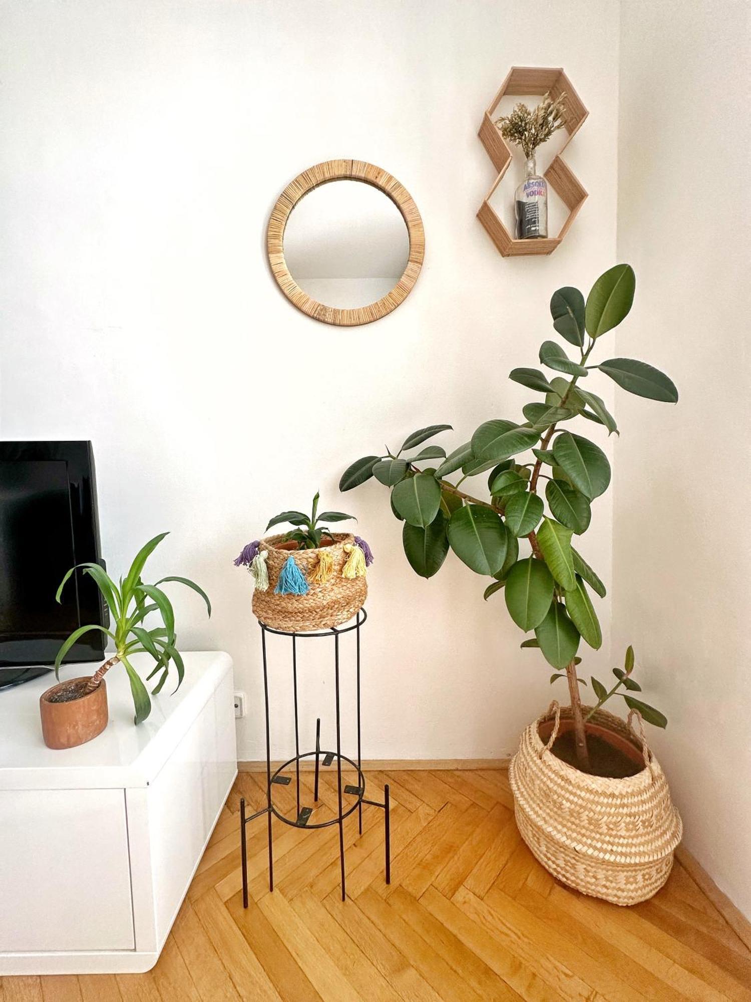 Bright And Central Suite With A Balcony Brno Exterior foto